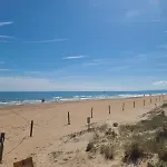 Sol Y Mar Oliva