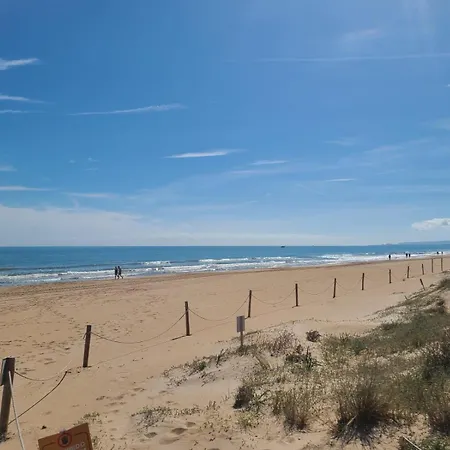 Sol Y Mar Oliva