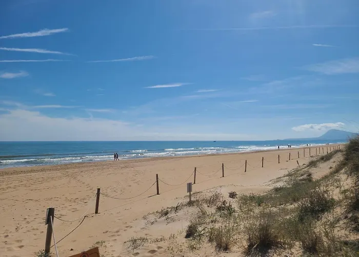 Sol Y Mar Oliva
