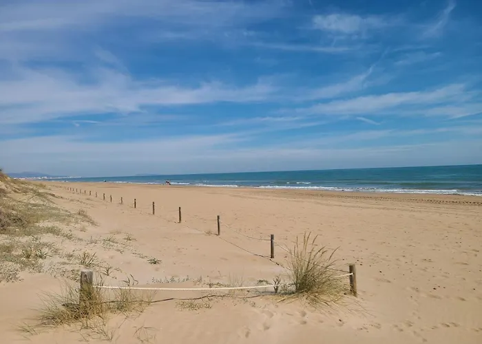 Sol Y Mar Oliva