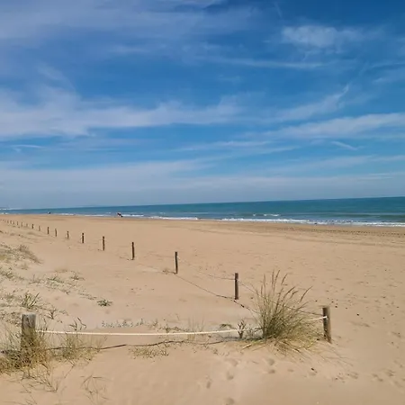 Sol Y Mar Oliva